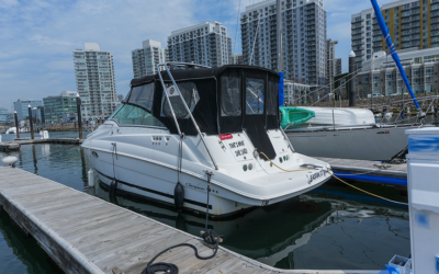 2005 Campion Allante LX 825i